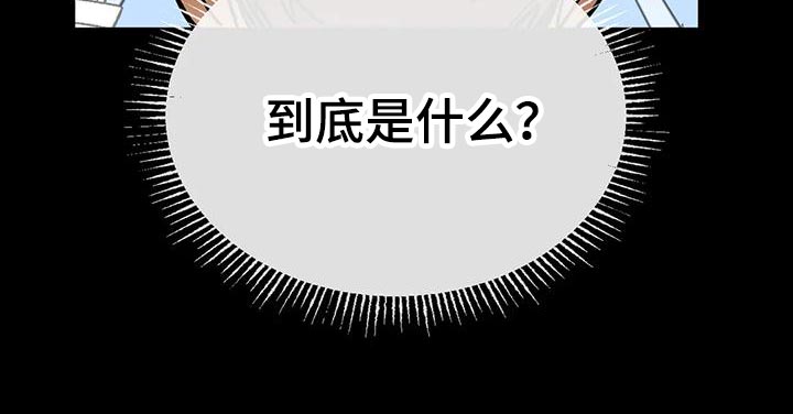 第62章：【番外】一级机密22