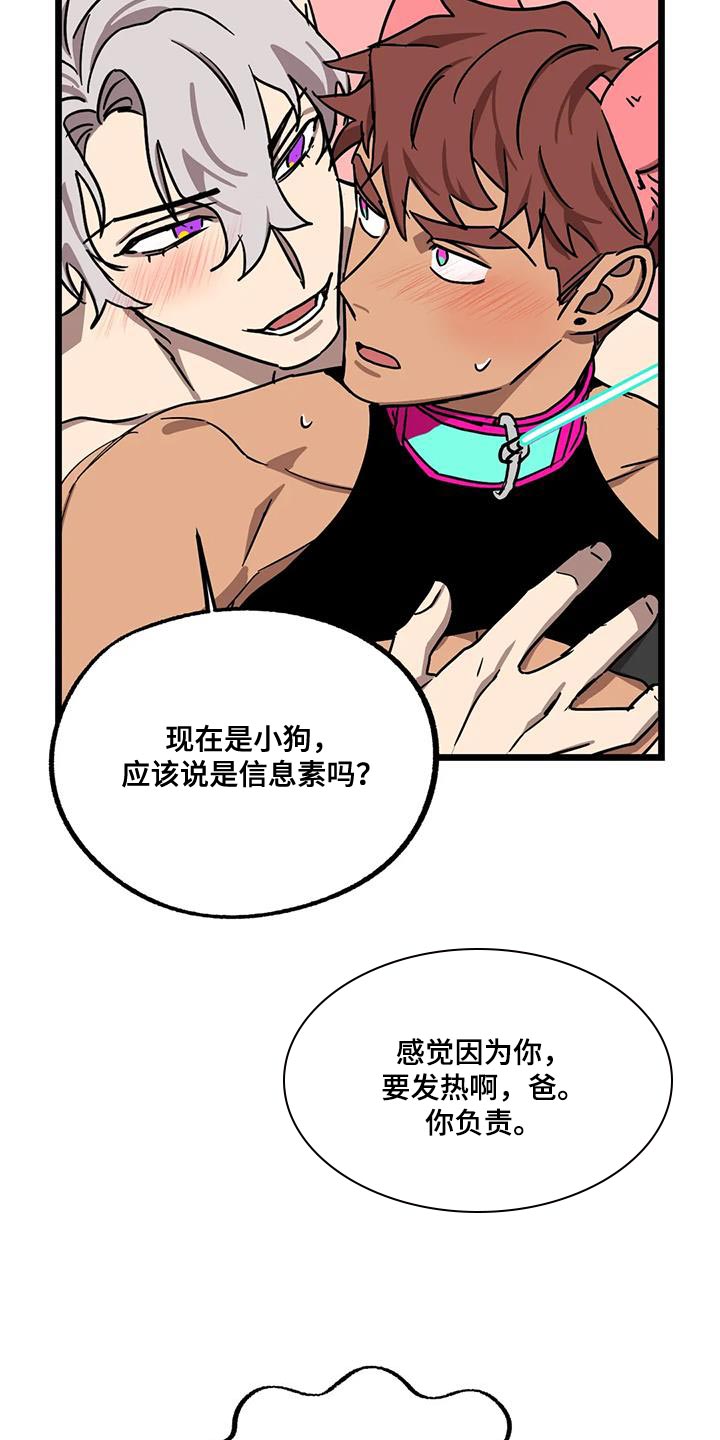 第71章：【番外】散步8