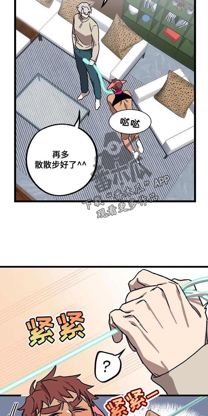 第71章：【番外】散步4