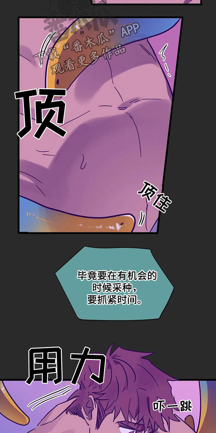 第46章：爱的结晶23