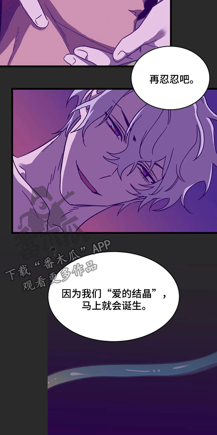 第46章：爱的结晶15