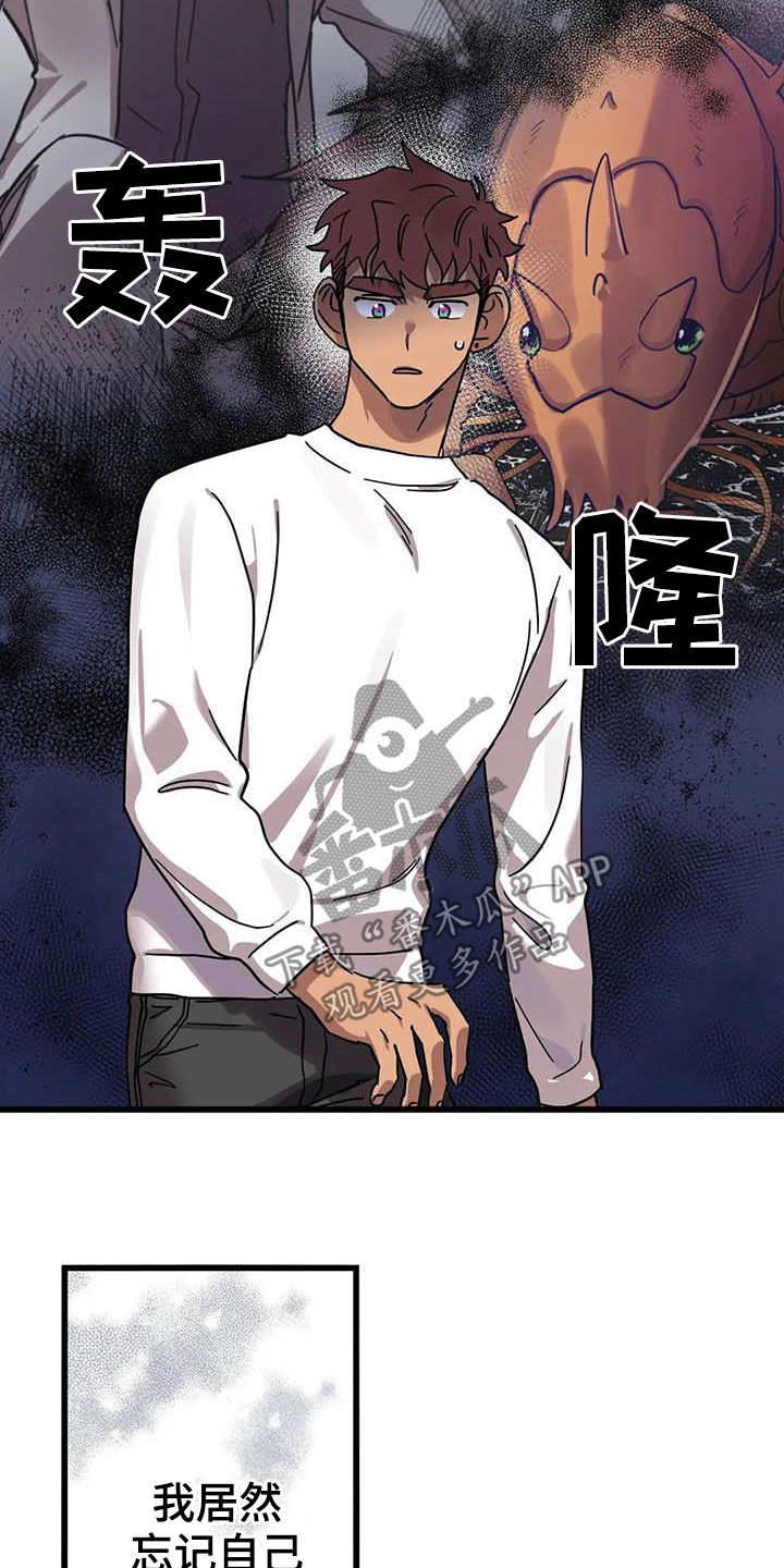第37章：没得选择19