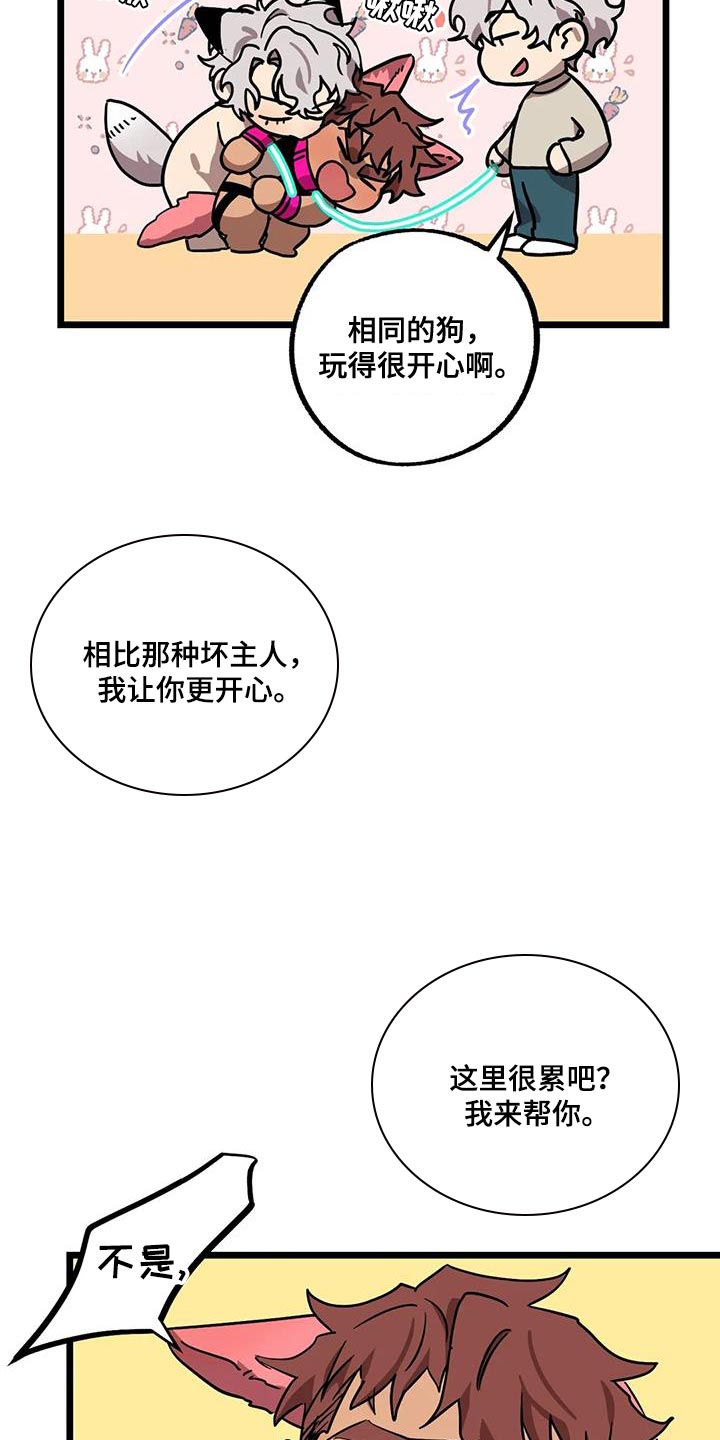 第71章：【番外】散步10