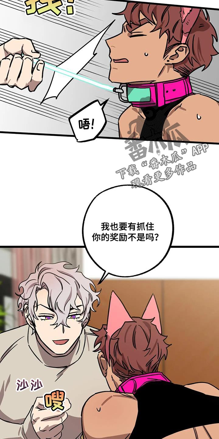 第70章：【番外】奖励14