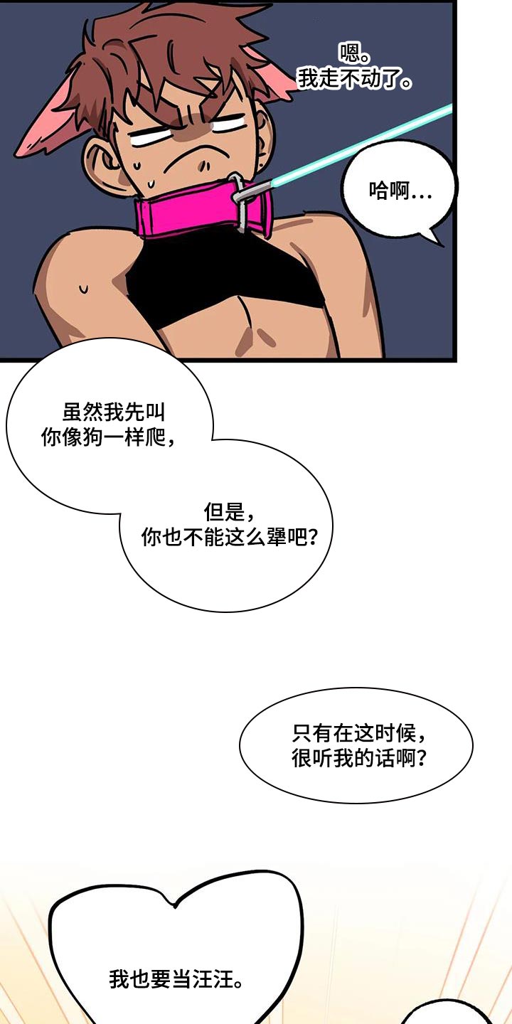 第71章：【番外】散步6
