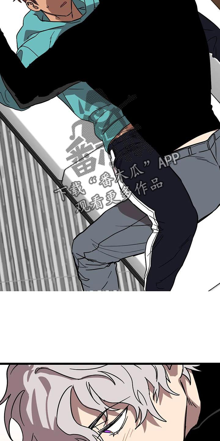 第64章：【番外】赶紧找找16