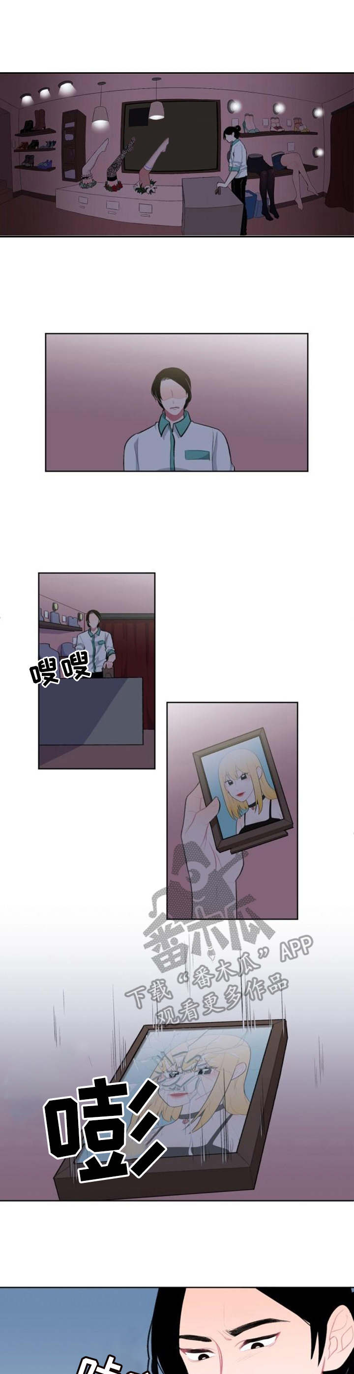 第6章：替代品5
