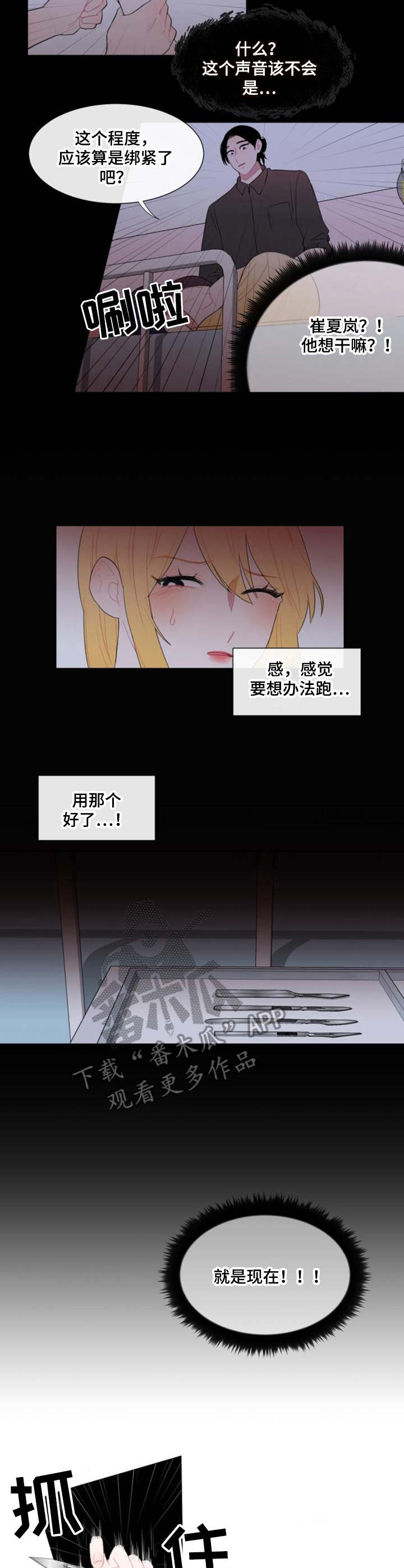 第21章： 绑架2