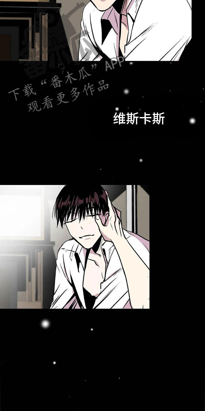 第11章：荒唐的真相8