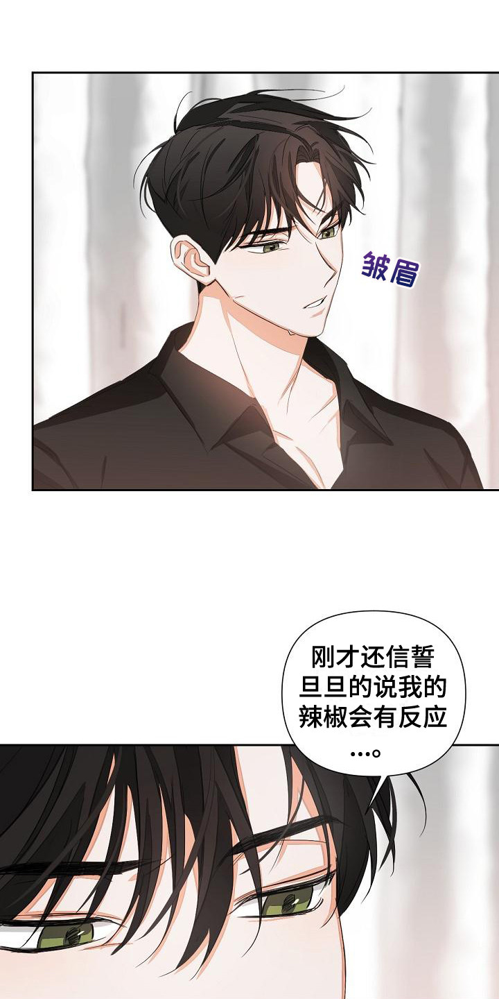 第13章：投降13