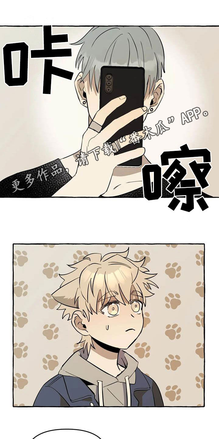 第13章：对比0