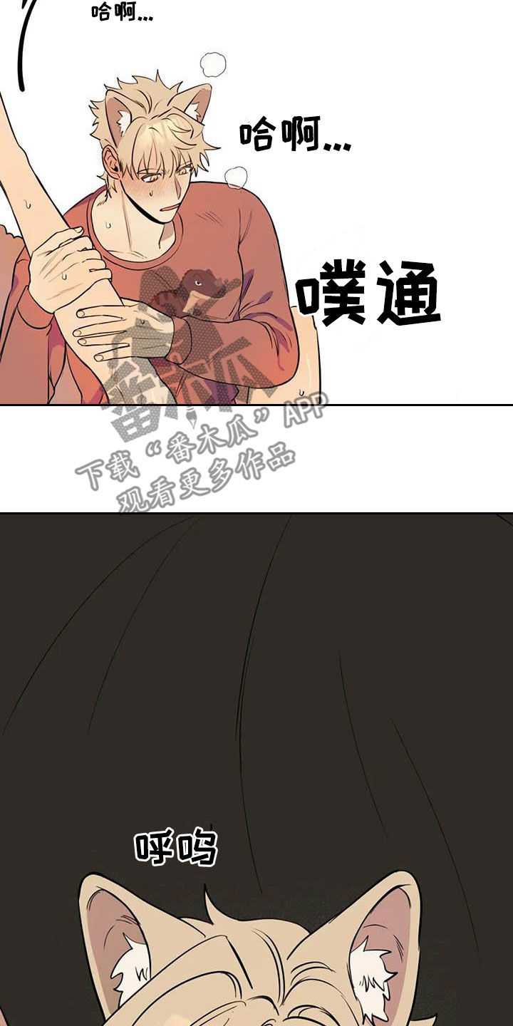 第24章：短信5