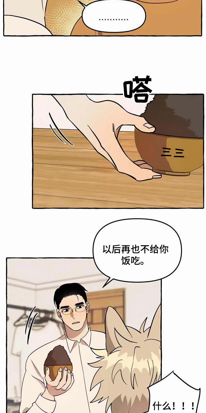 第3章：取名15