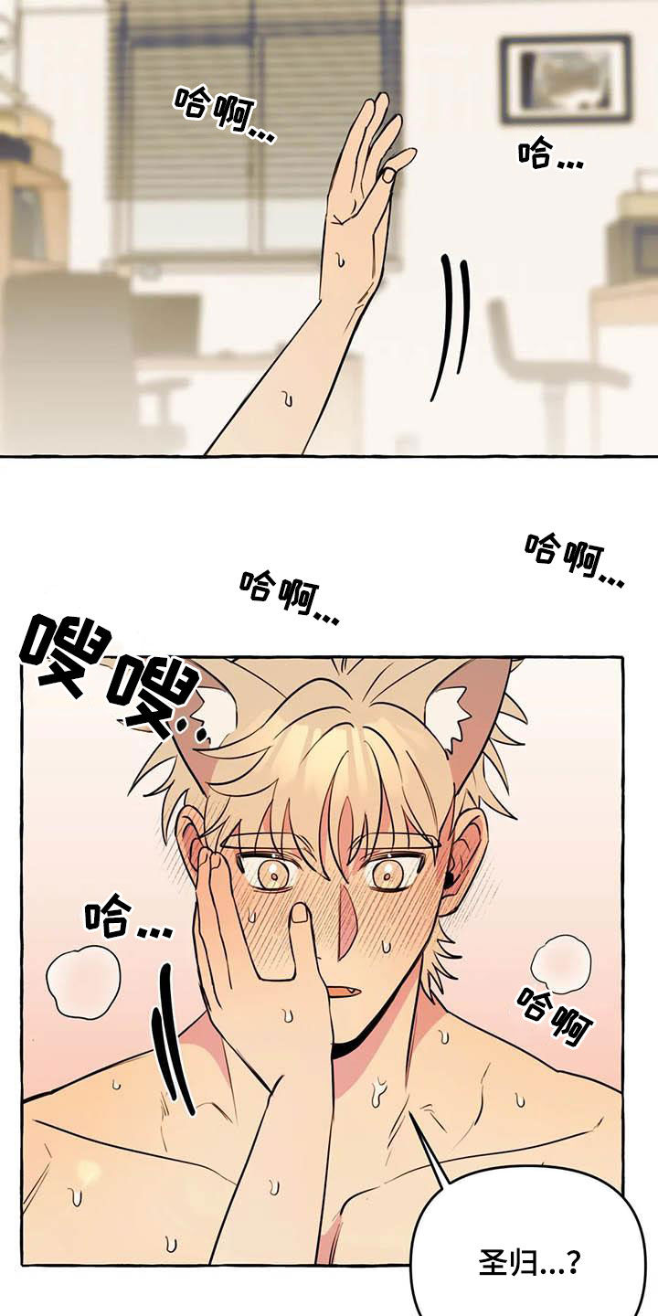 第24章：短信13