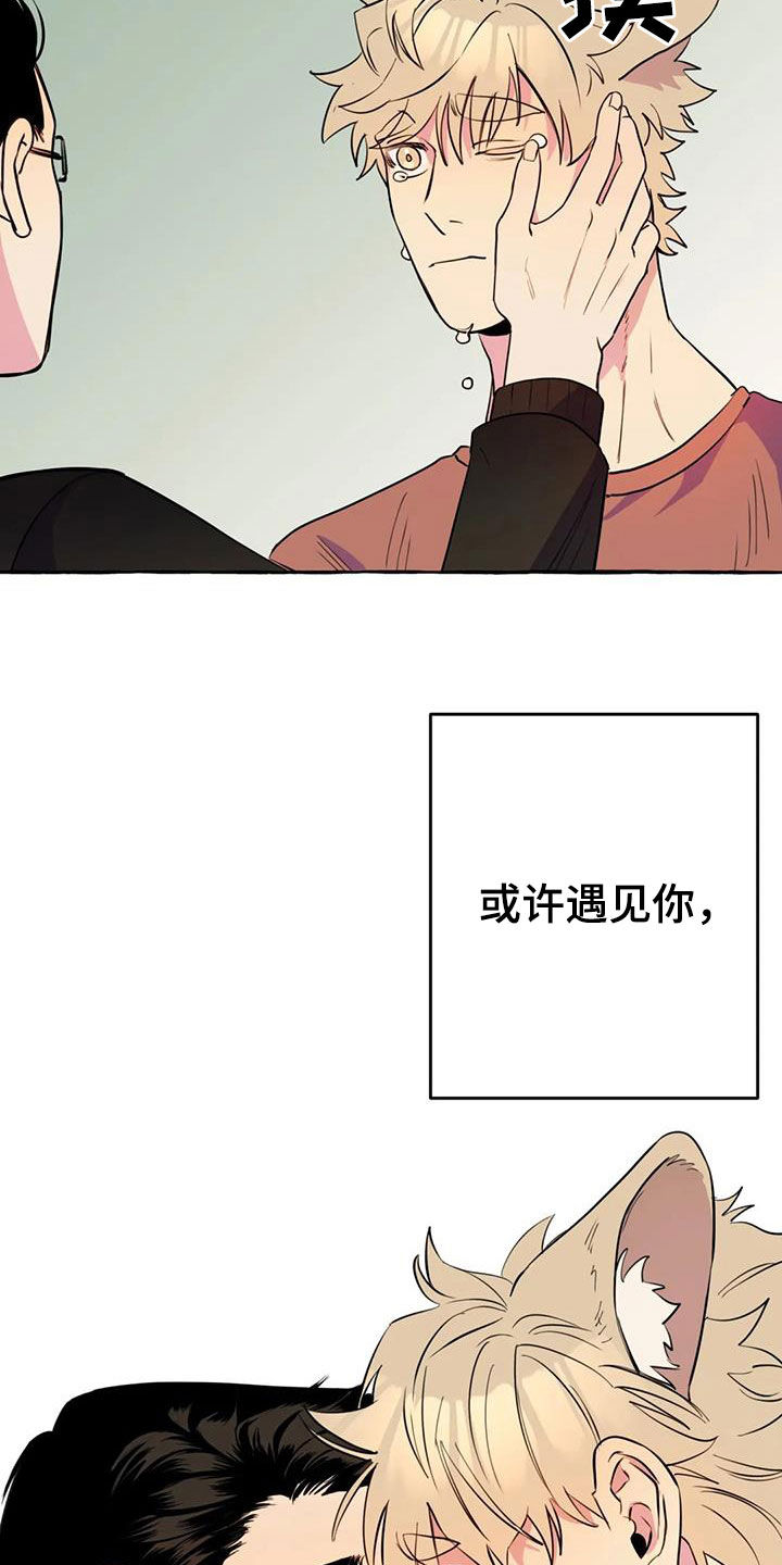 第22章：命中注定14