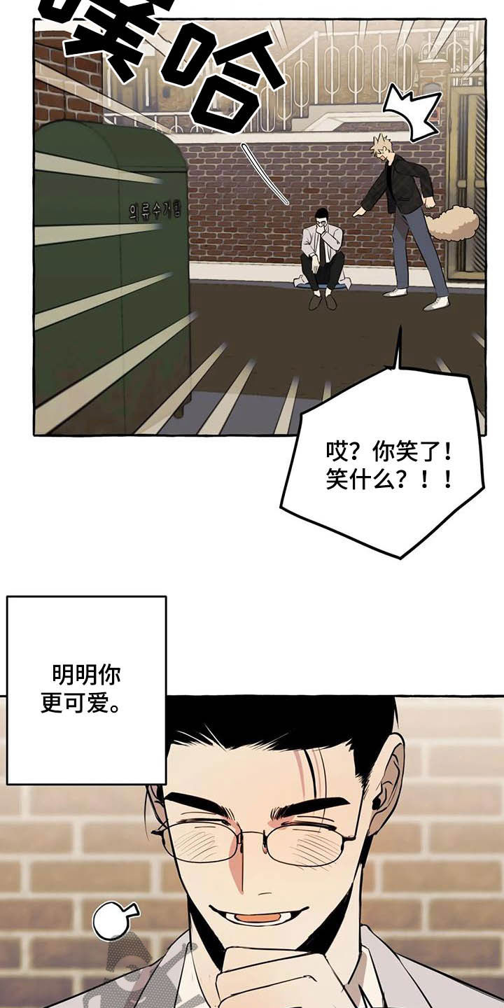 第16章：做饭3