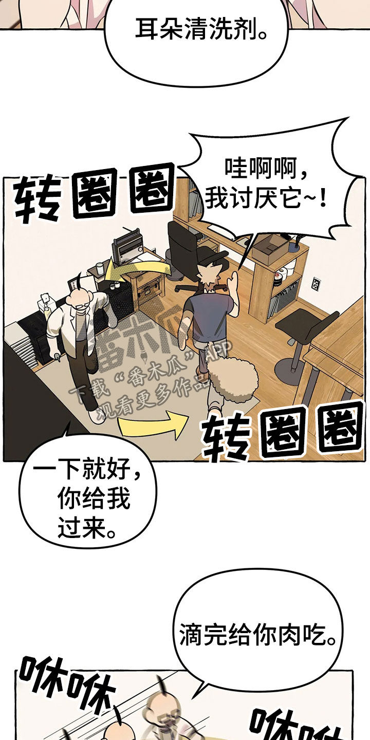 第20章：手机1