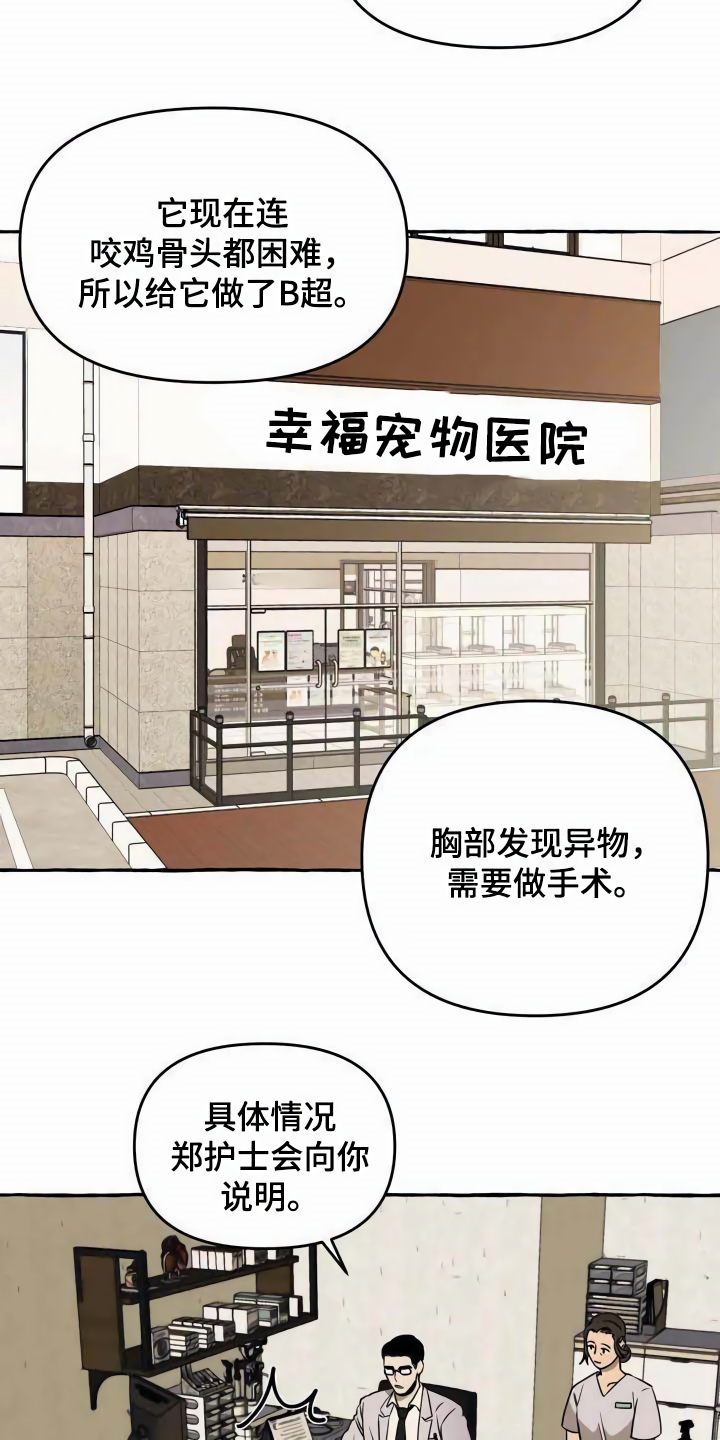 第1章：流浪狗6