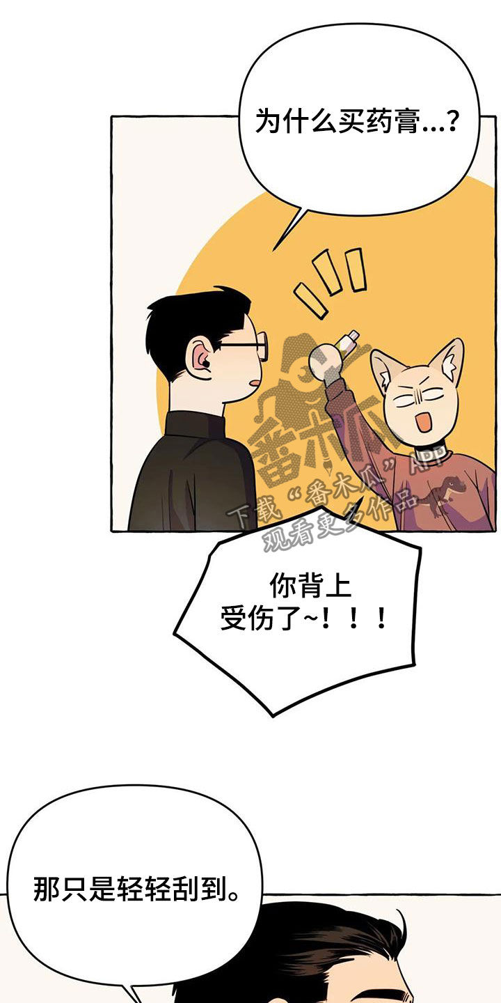 第22章：命中注定19