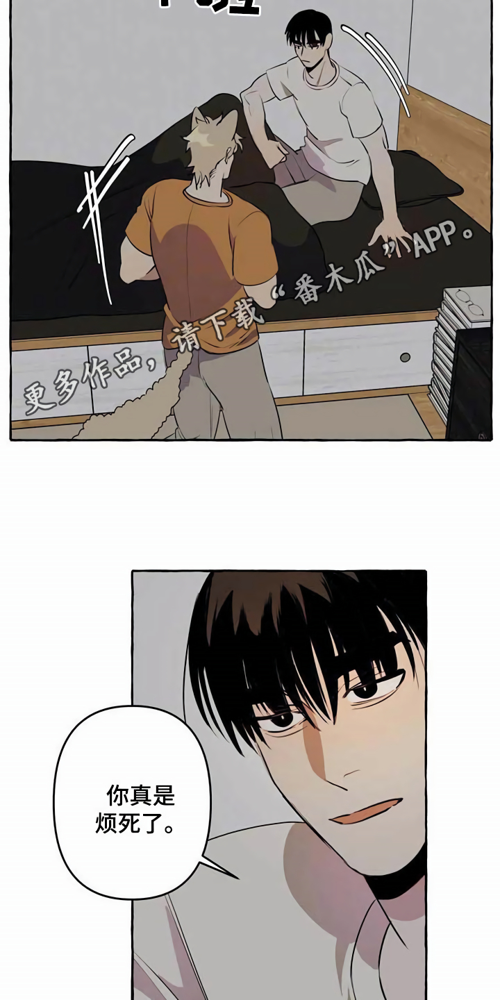 第8章：无法拒绝8