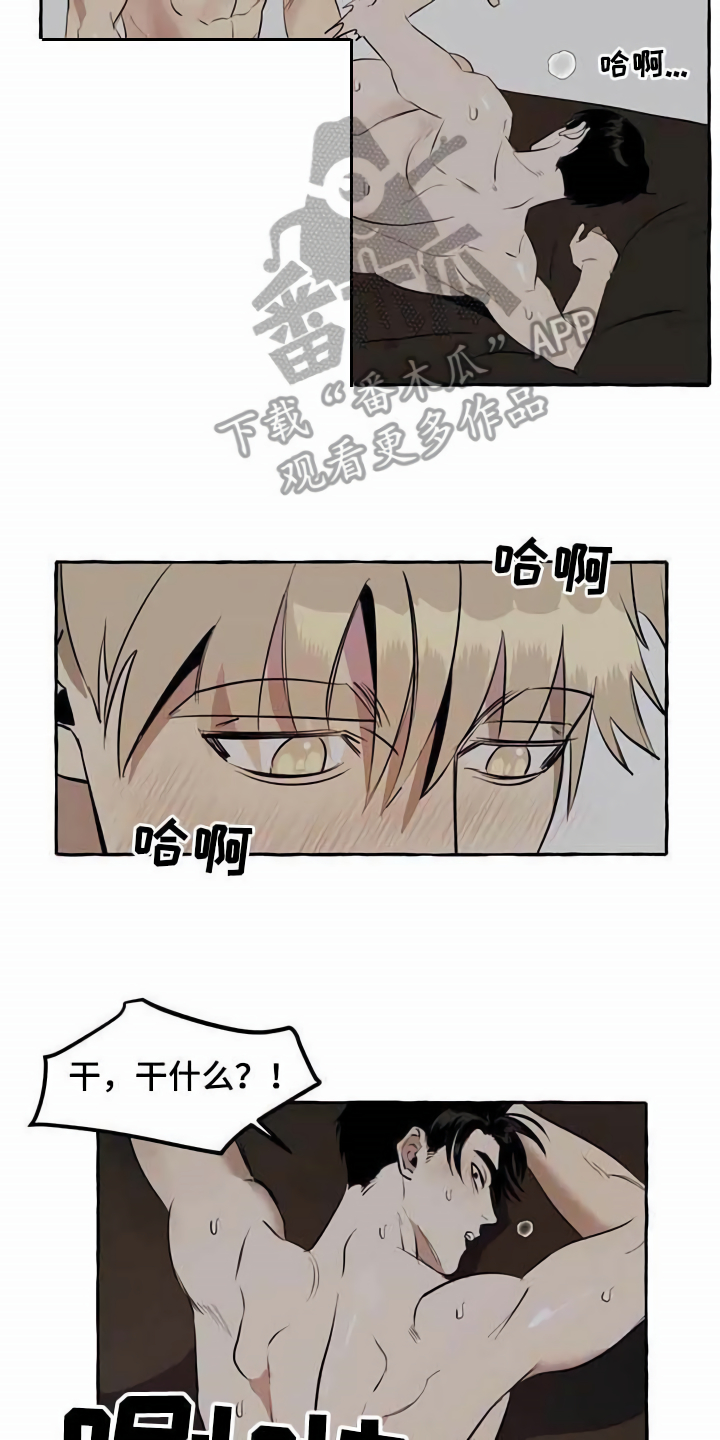第9章：特殊感受5