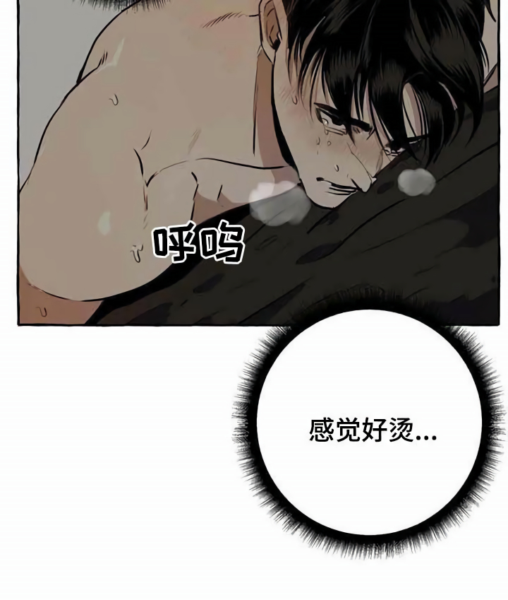 第9章：特殊感受16