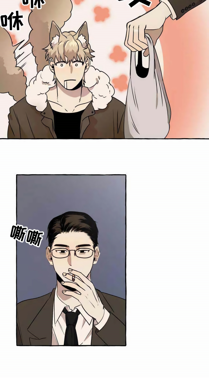 第1章：流浪狗15