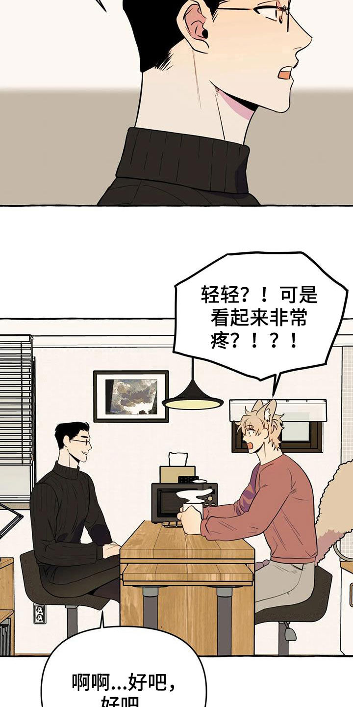 第22章：命中注定20