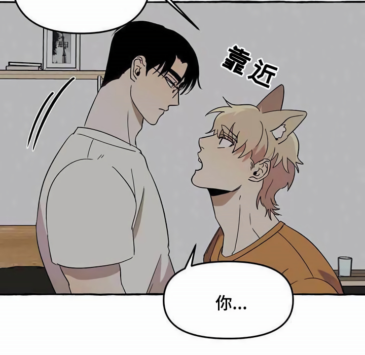 第4章：请求9