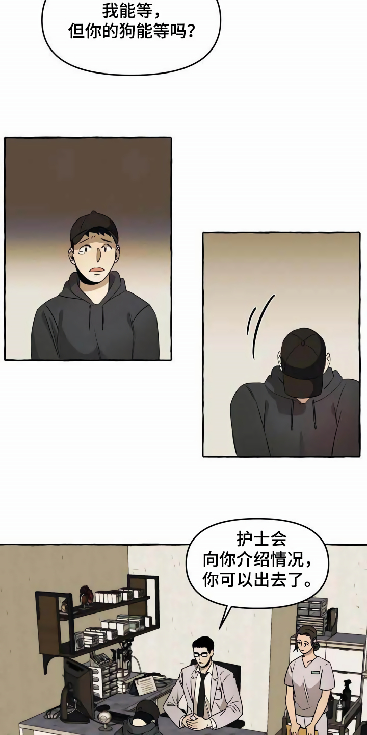 第1章：流浪狗9
