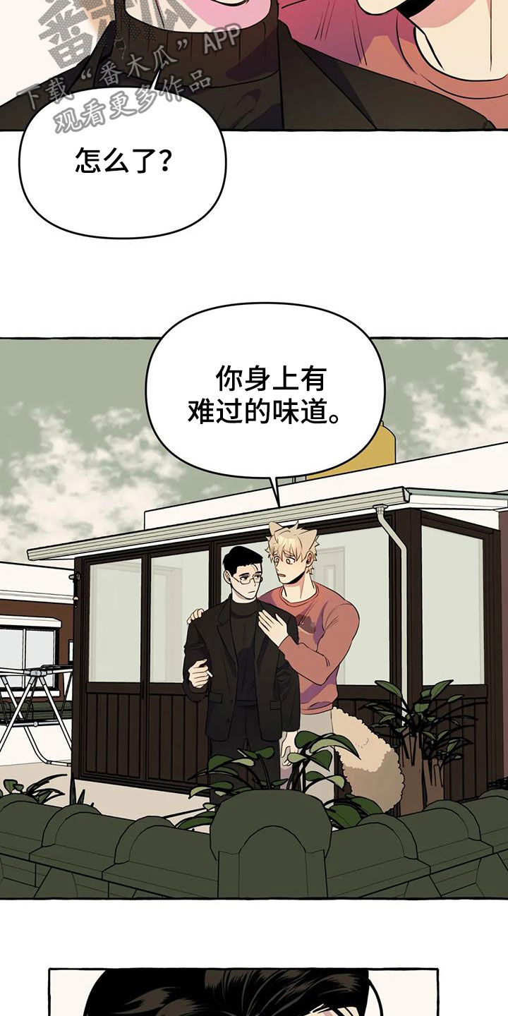 第22章：命中注定4