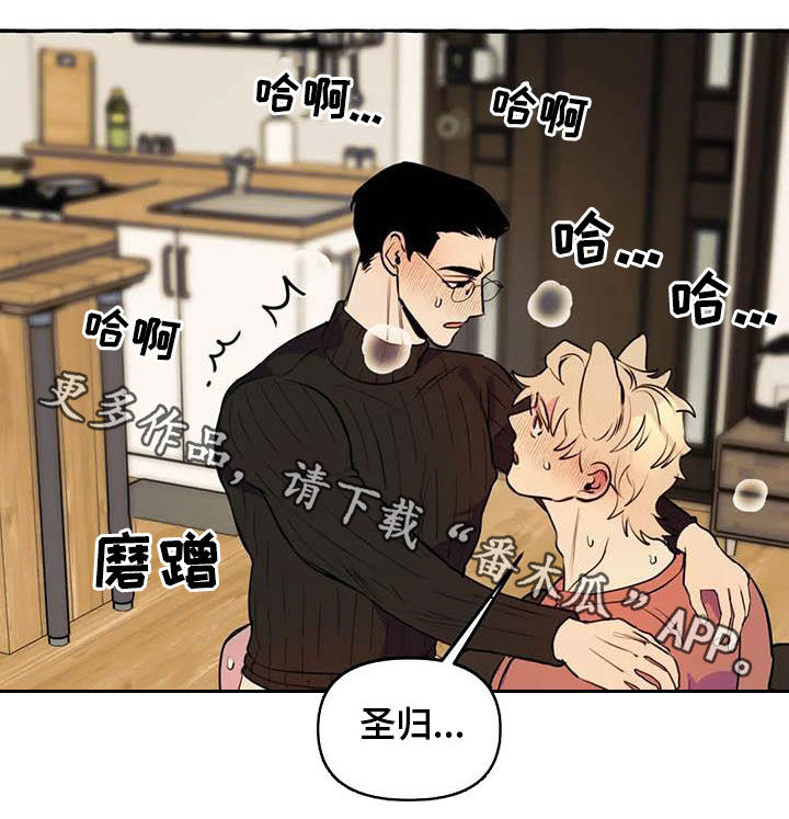 第23章：涂药17