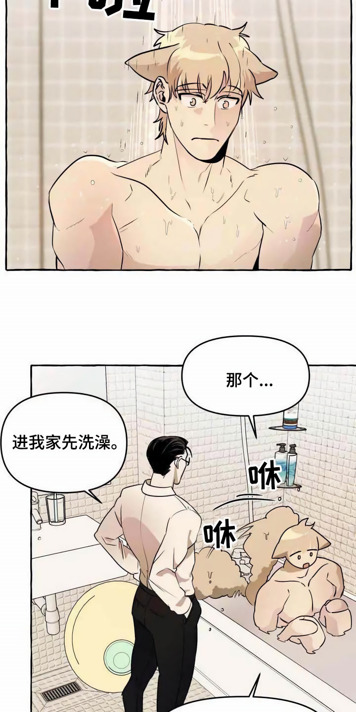第2章：可怜8