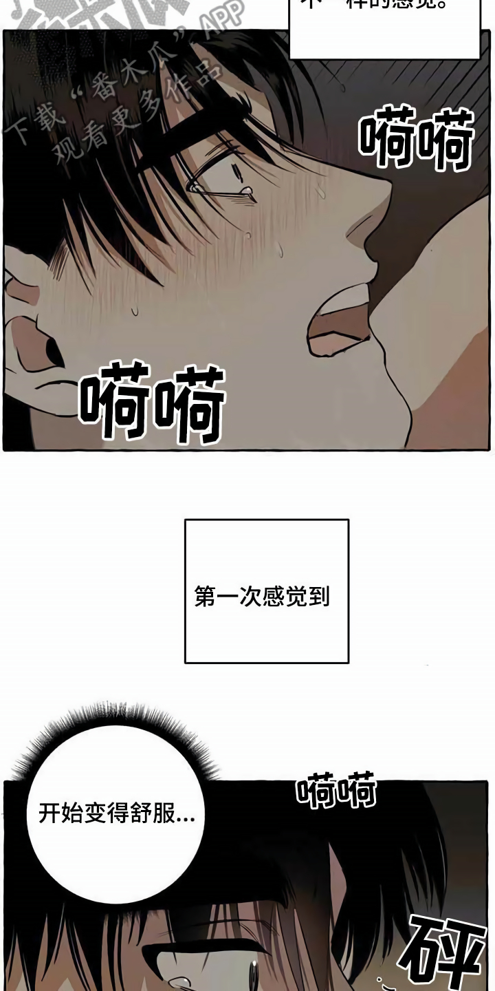 第9章：特殊感受12