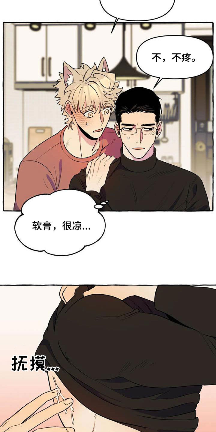 第23章：涂药4