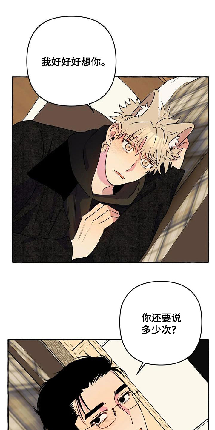 第37章：好想你12