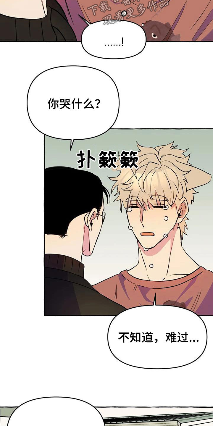 第22章：命中注定12
