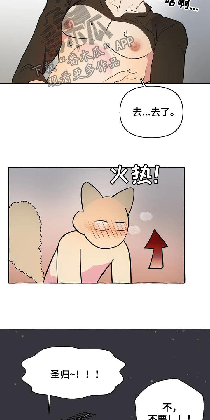 第30章：太着急了14