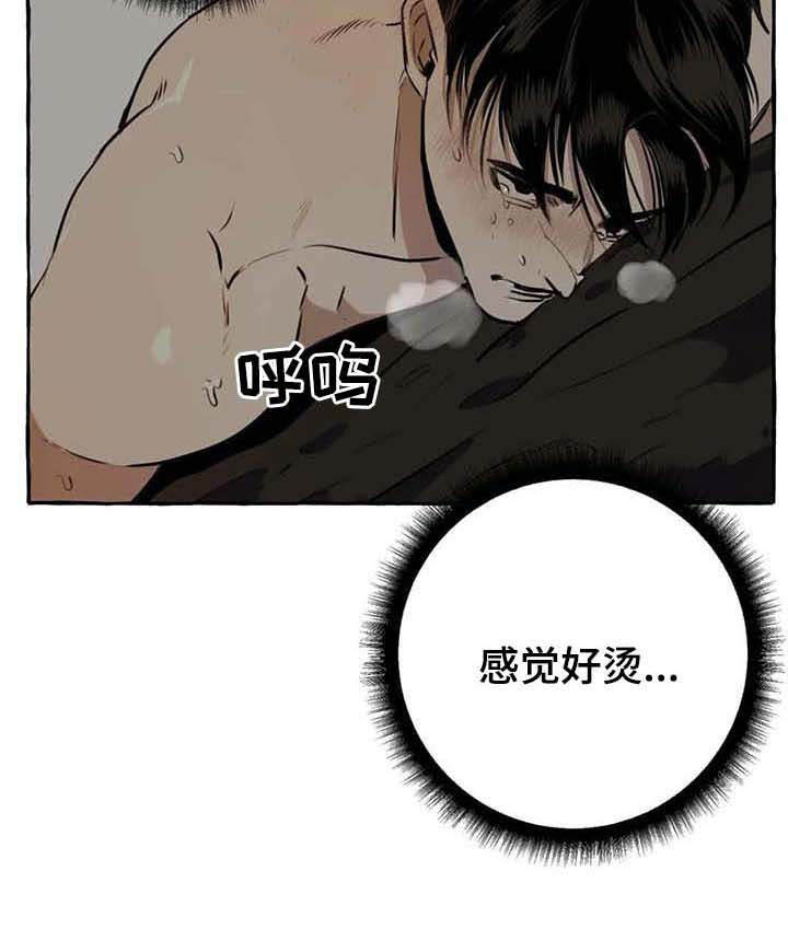 第9章：特殊感受15