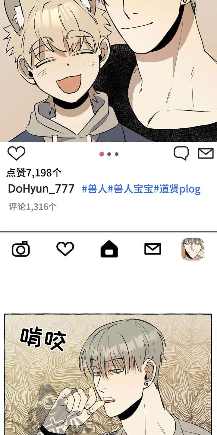 第13章：对比4