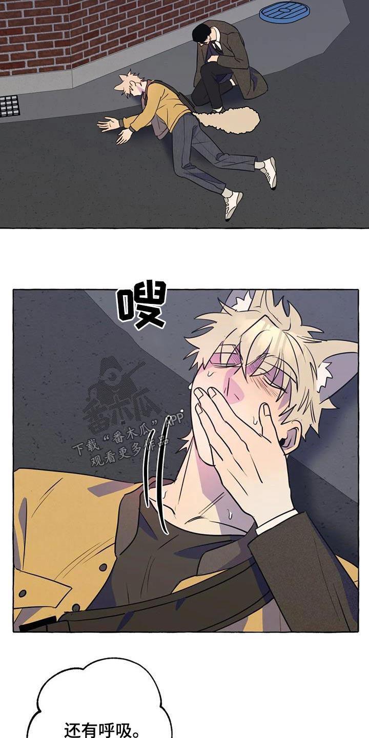 第59章：【第二季】晕倒17