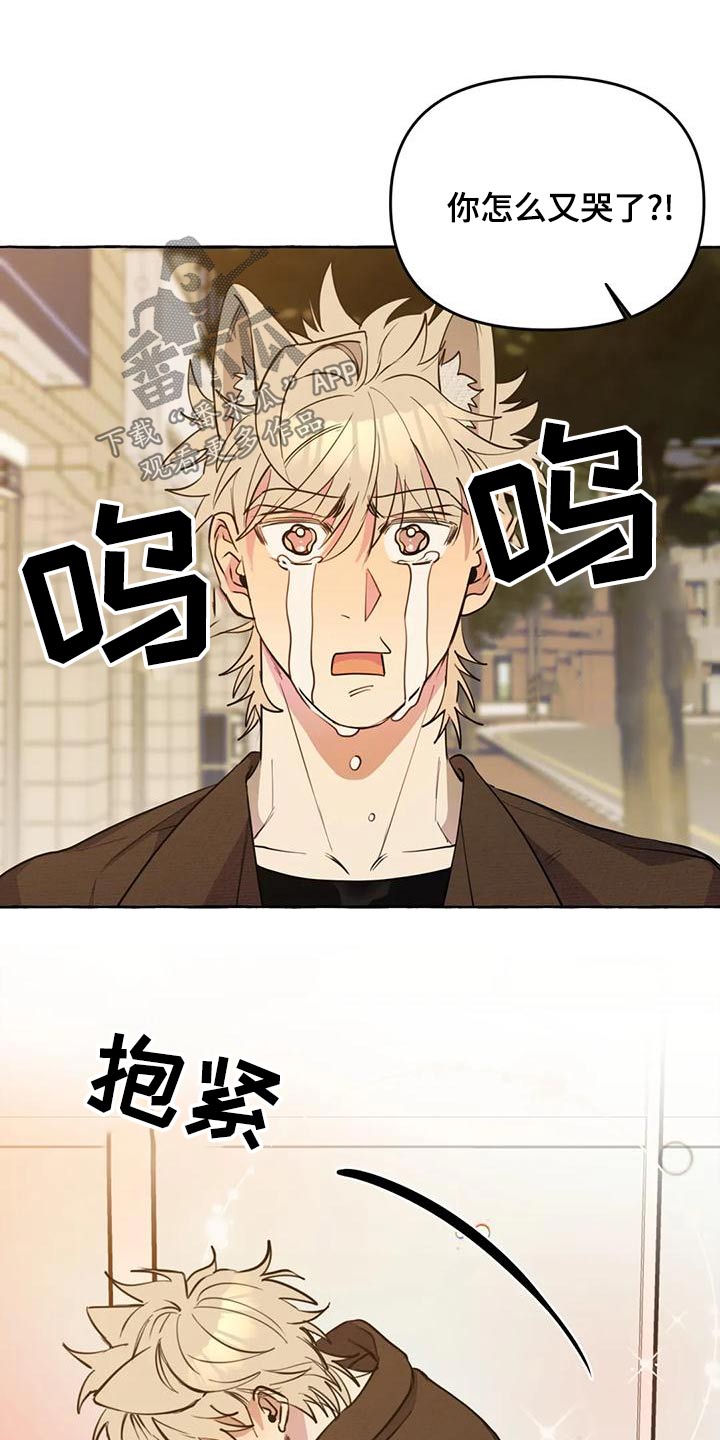第45章：【第二季】保护9