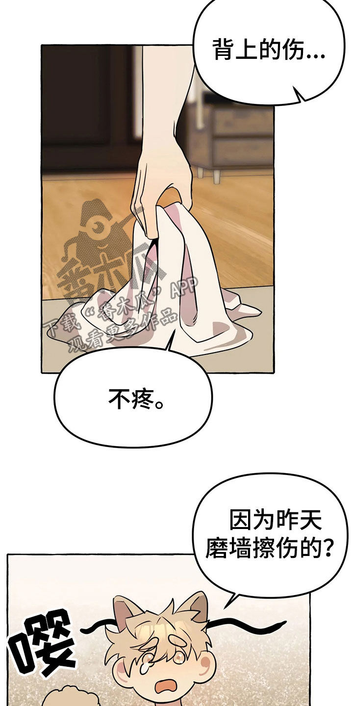 第19章：新衣服8