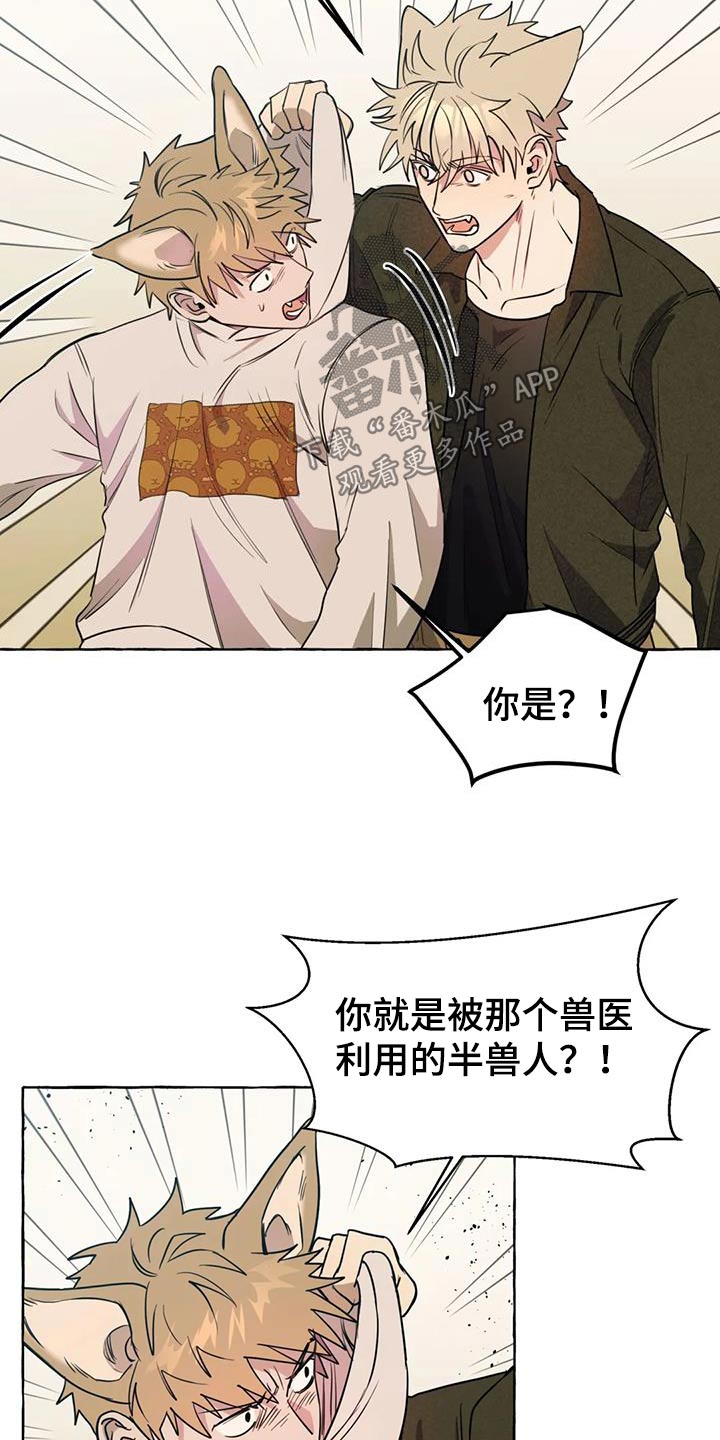 第53章：【第二季】挑衅17