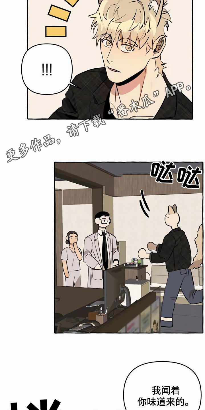 第11章：不老实3