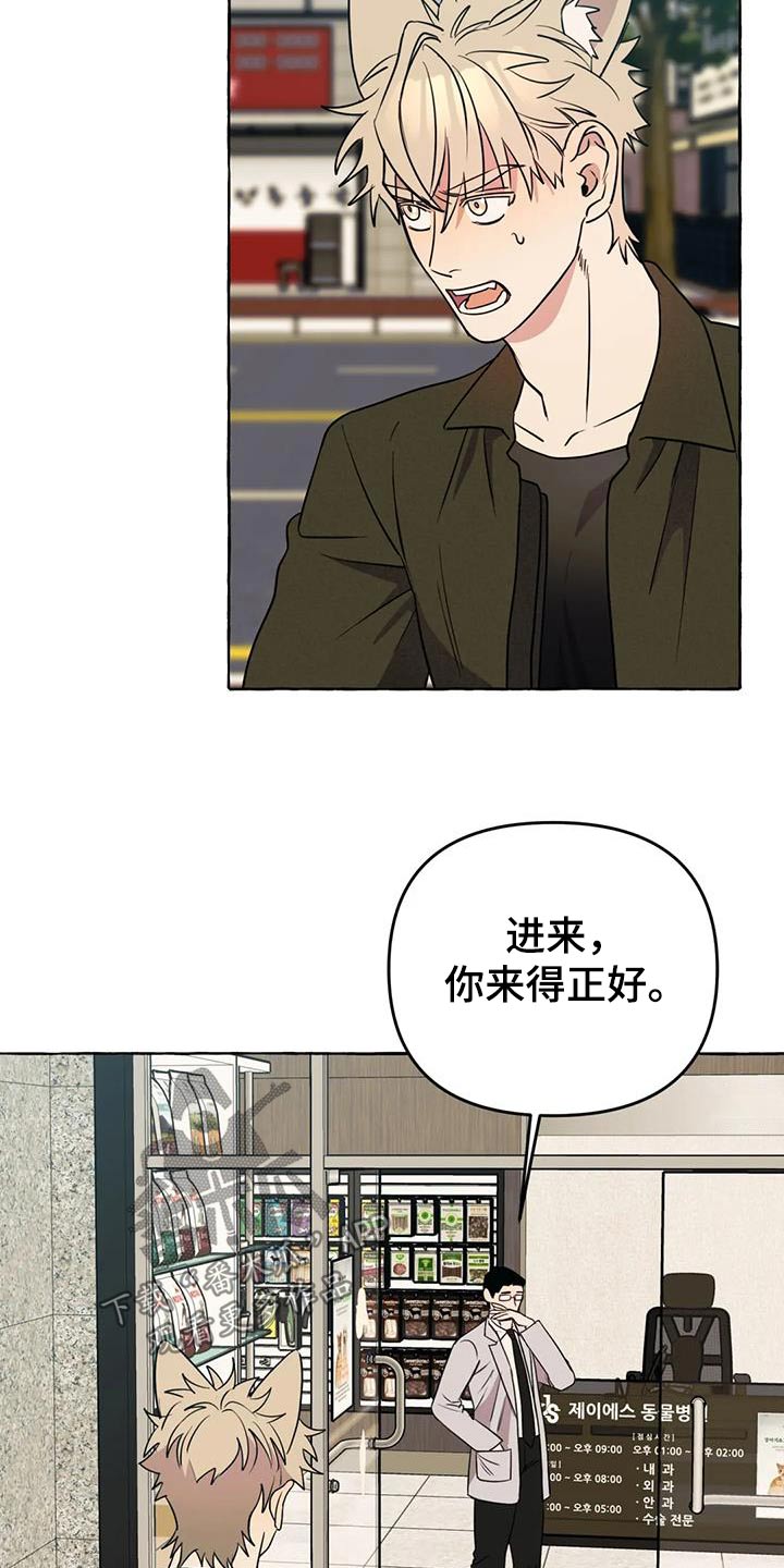 第53章：【第二季】挑衅22