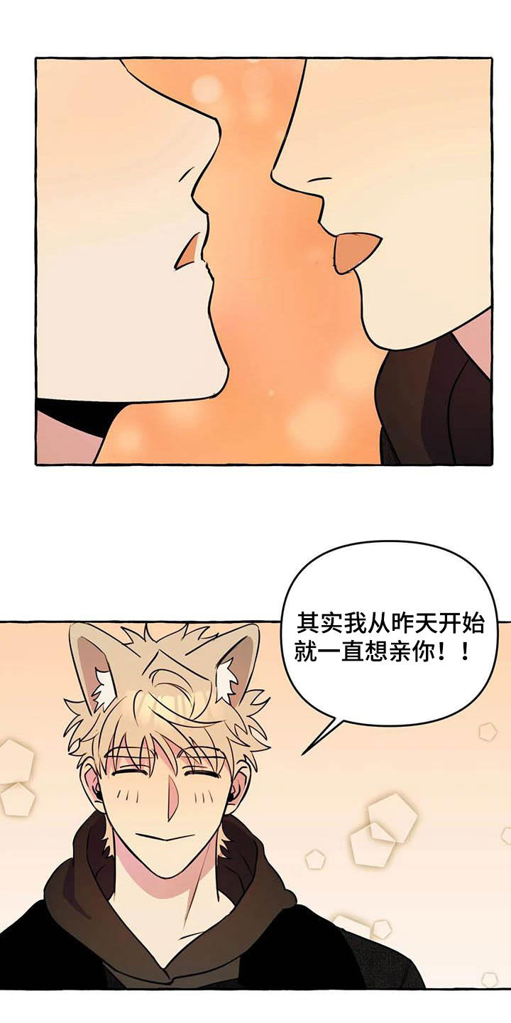 第36章：见面17