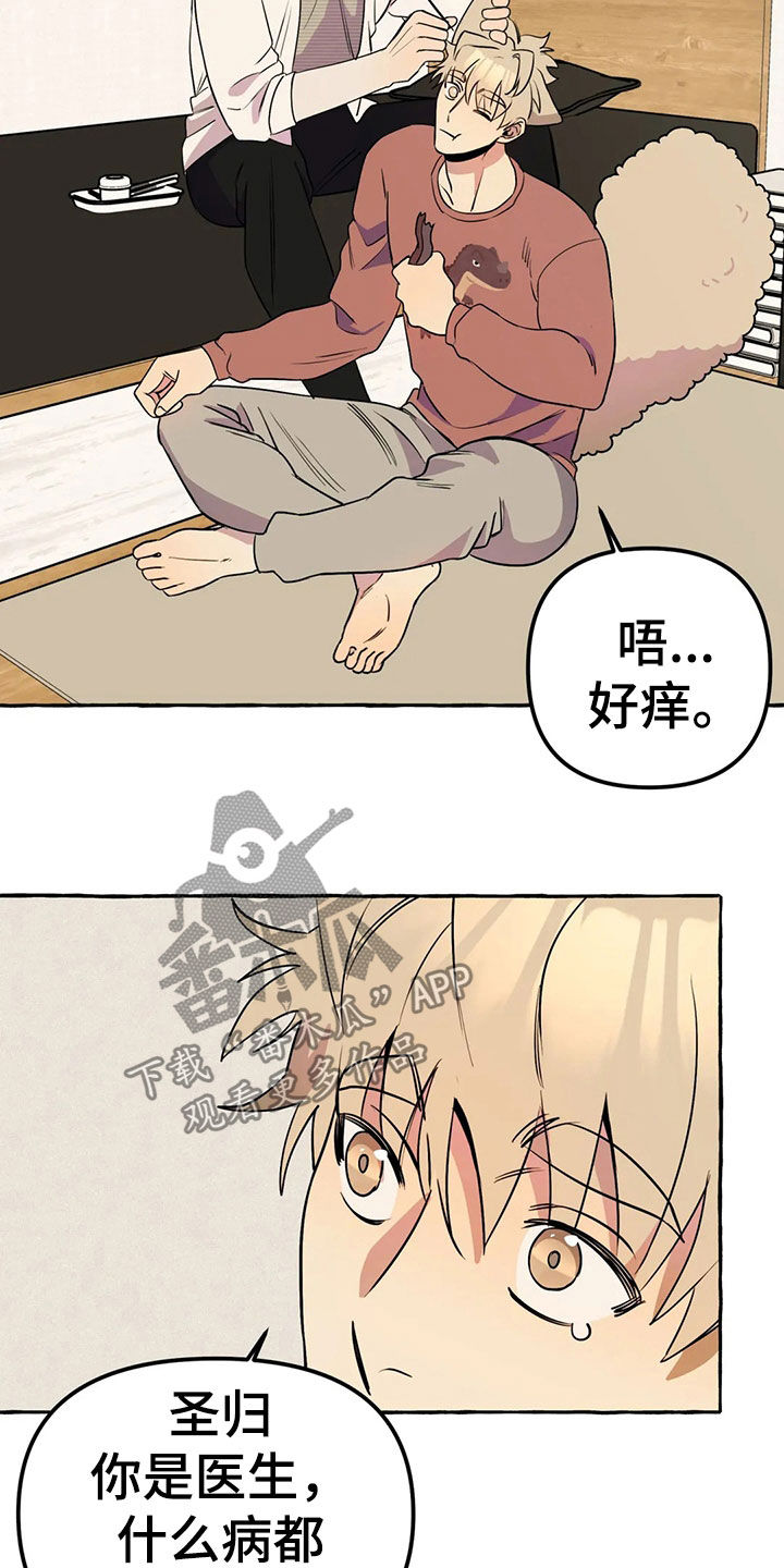 第20章：手机4