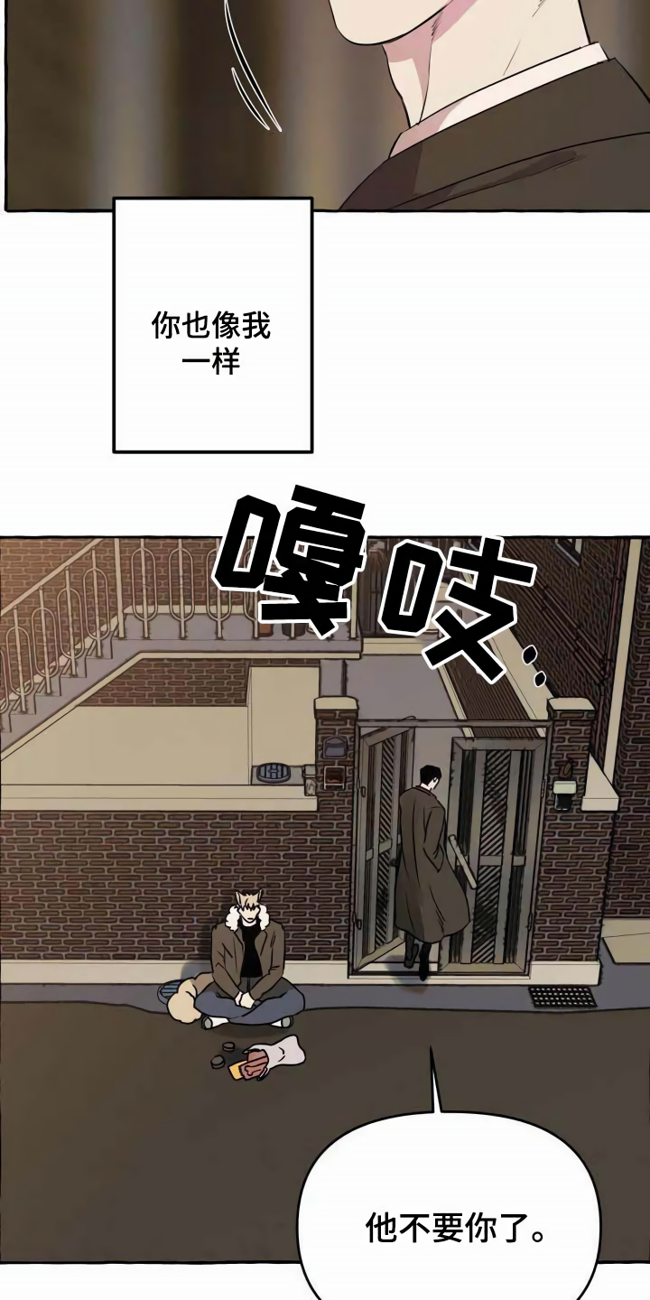 第1章：流浪狗5