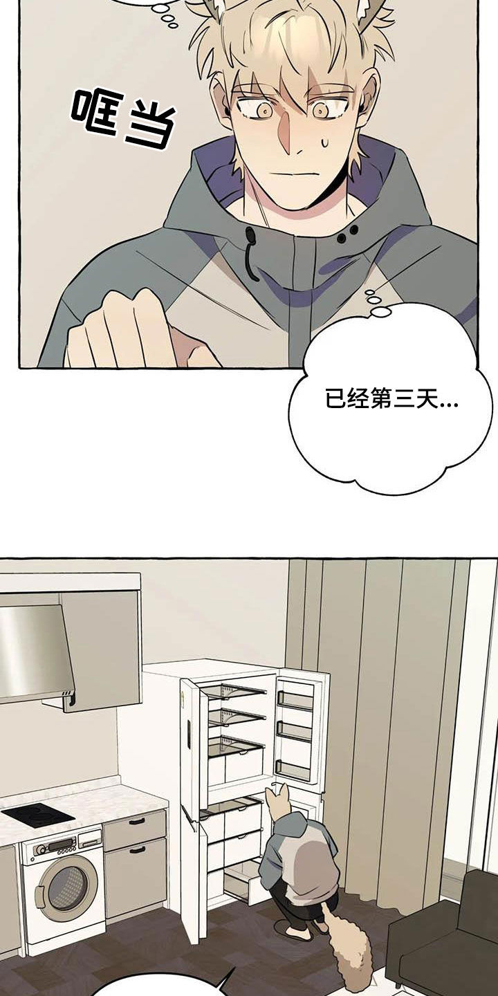 第13章：对比11